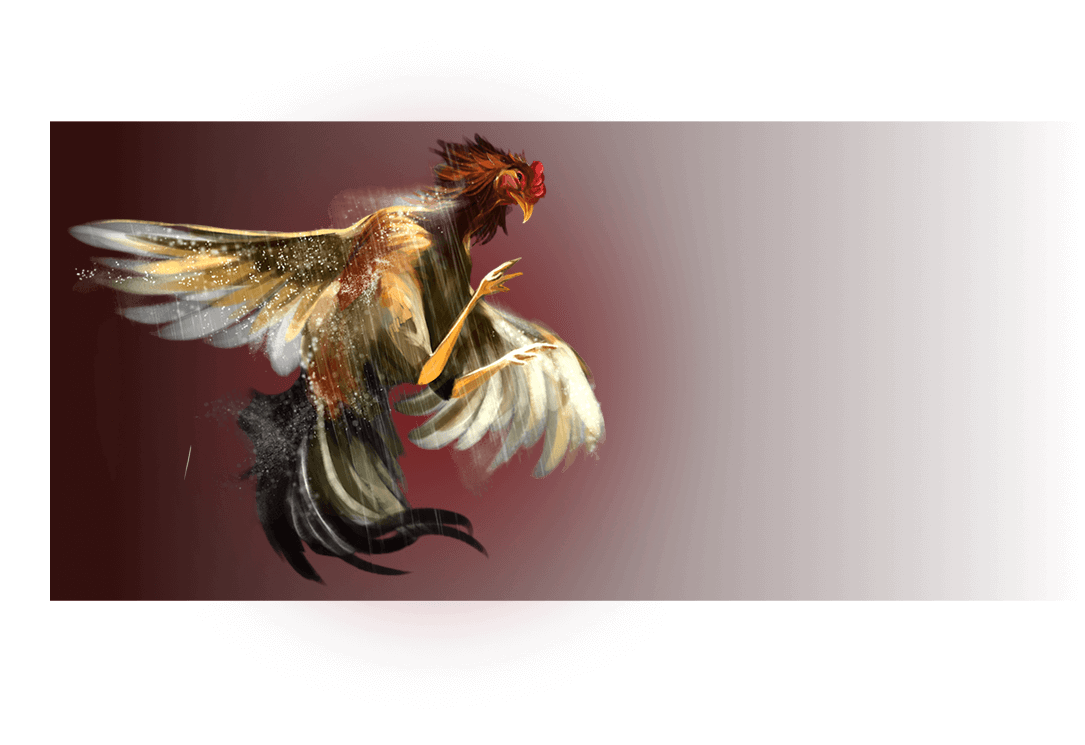 bj66-bet-home-Mẹo-Cho-Người-Mới-Chơi-Đá-Gà-Trực-Tuyến-img