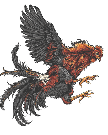 bj66-bet-home-banner-imgs-1